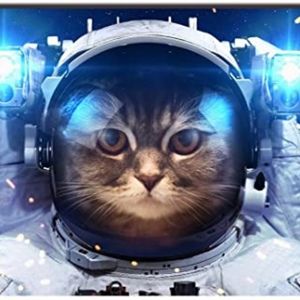 Meet your Posher, Posh